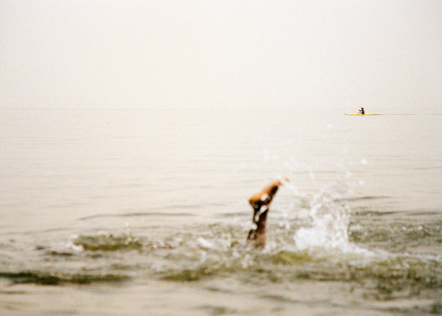 D Evening paddle